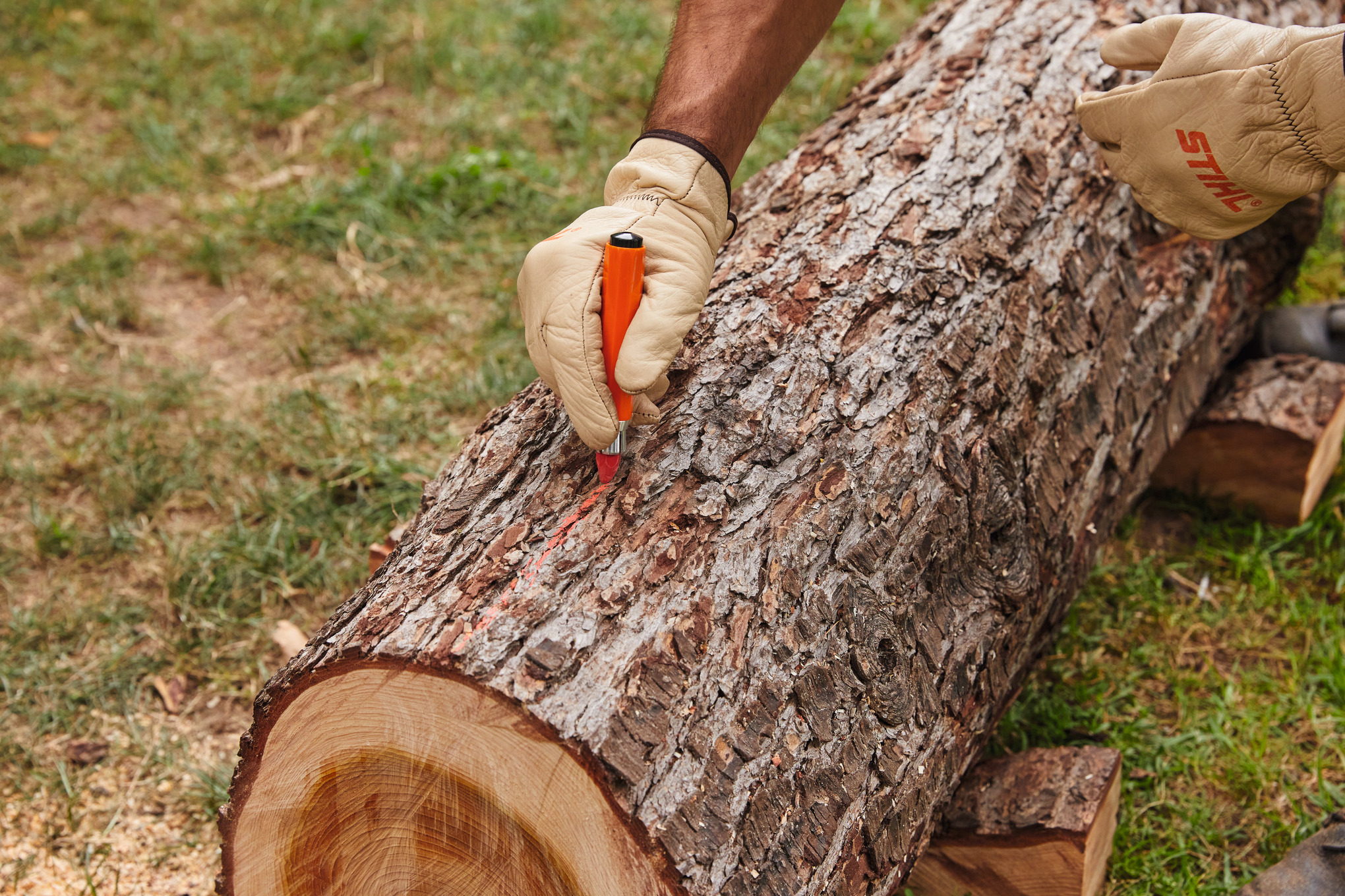 Tizas de marcación forestal
