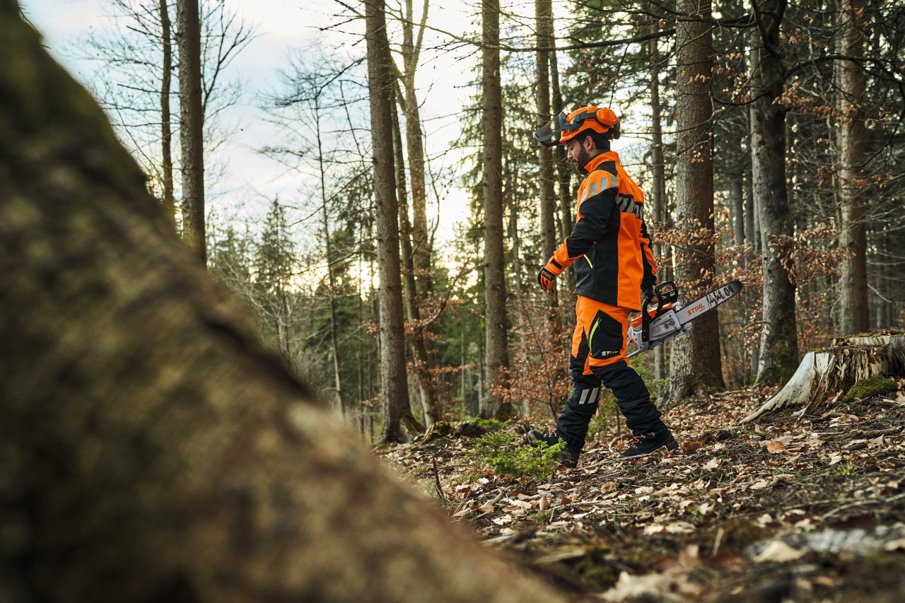Carpintero con STIHL ADVANCE-FlexTEC-ShellTEC mientras trabaja en el bosque