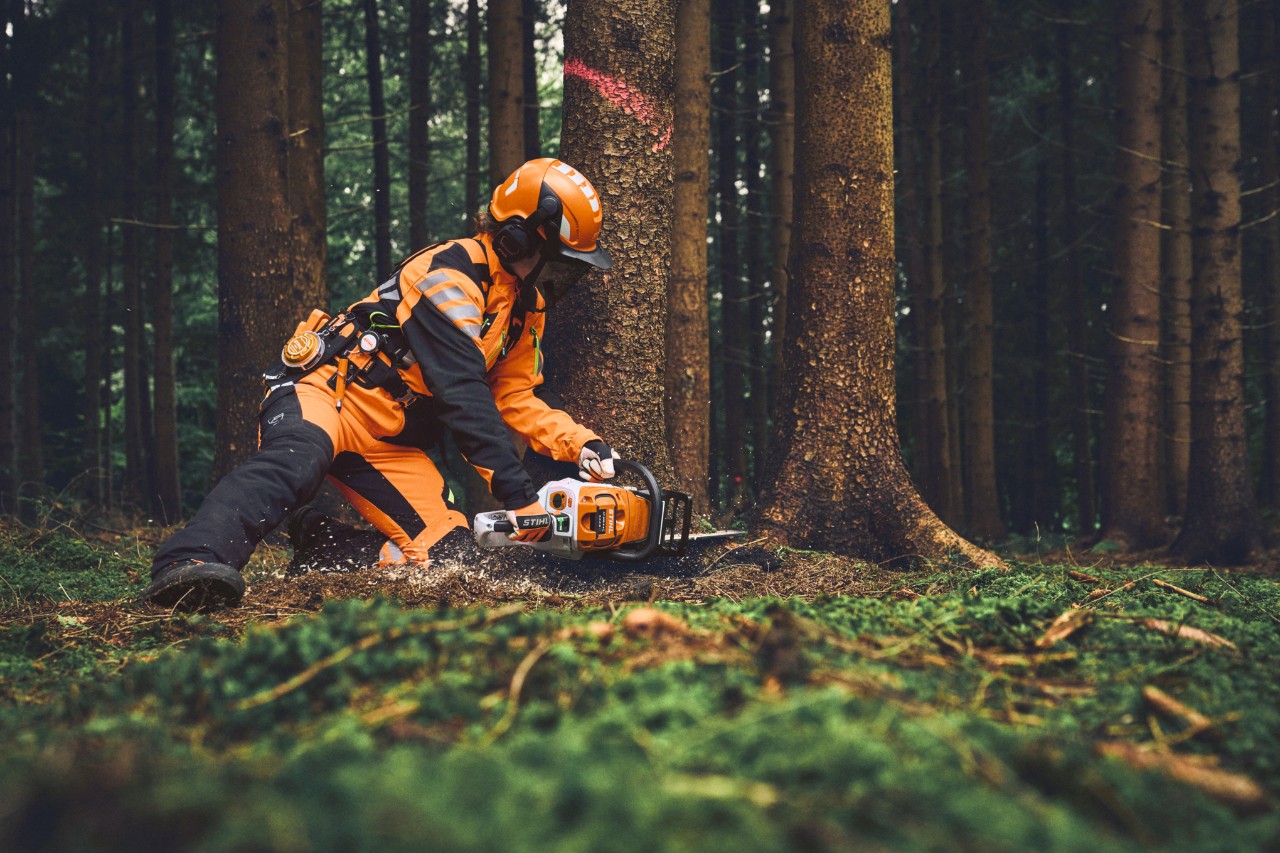 Un trabajador forestal con equipo de protección personal STIHL poda un árbol en el bosque con una motosierra de batería STIHL.