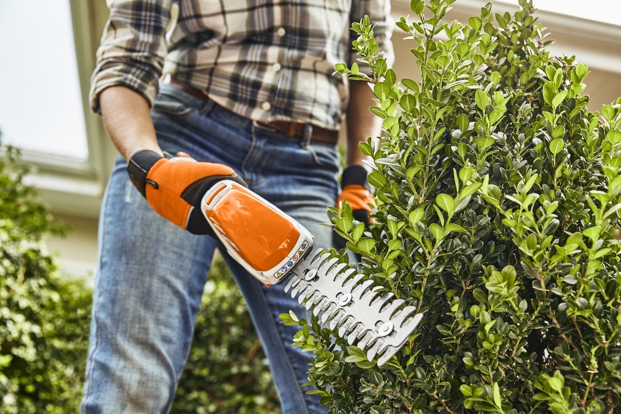 Primer plano de la poda de un boj con el cortasetos de batería STIHL HSA 26
