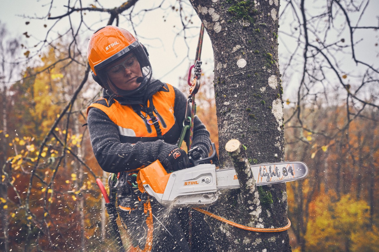 La arborista Viktoria Carstens cuelga del árbol con una cuerda de seguridad