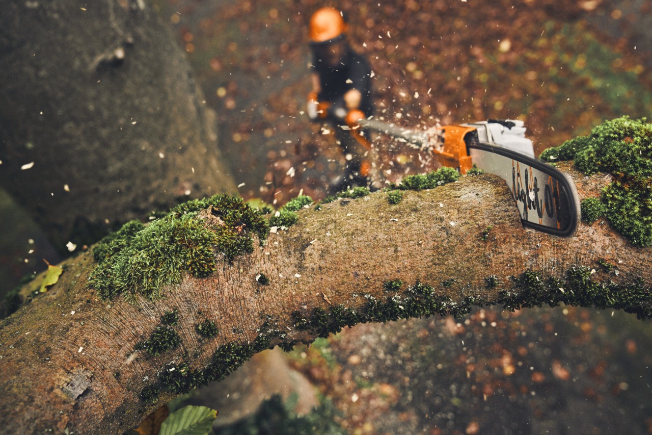 Hombre cortando ramas de un árbol con la podadora de pértiga inalámbrica STIHL HTA 160